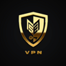 Логотип NetKing VPS